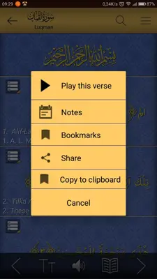 Islamic Guide Pro android App screenshot 7